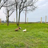 lamarth-farm-helston-oa1ky