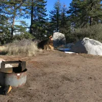 tool-box-springs-yellow-post-campsites-mountain-center-uia3c