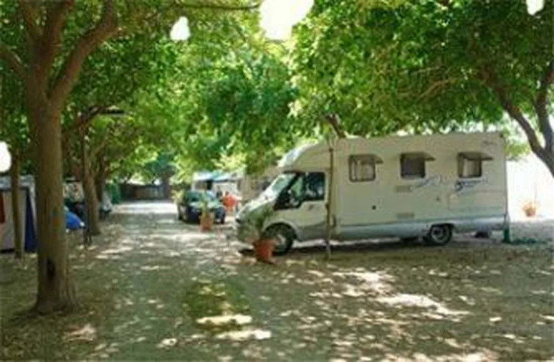 les-barraquetes-sueca-1kxcy
