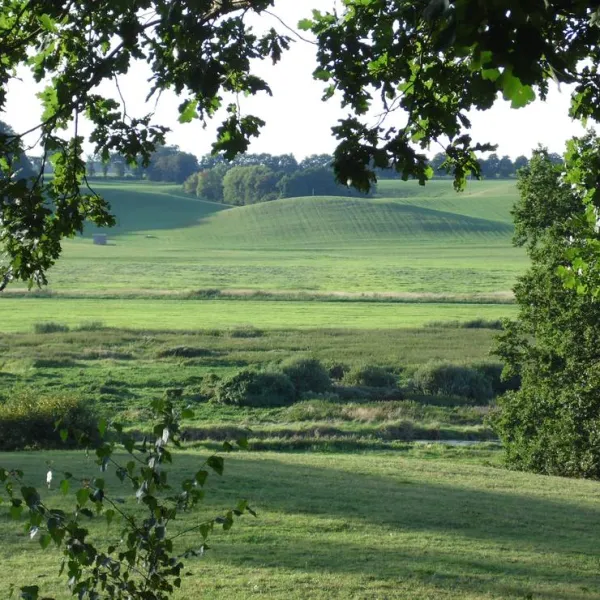 natur-und-erholungshof-recknitzberg-grammow-ot-neuhof-iasyi