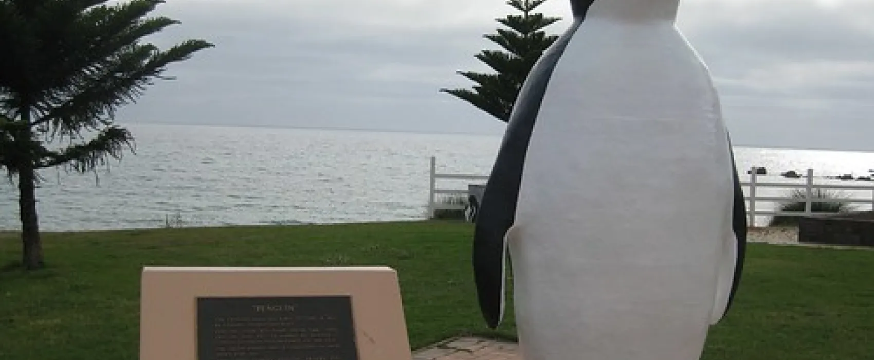 Penguin Camp Campground