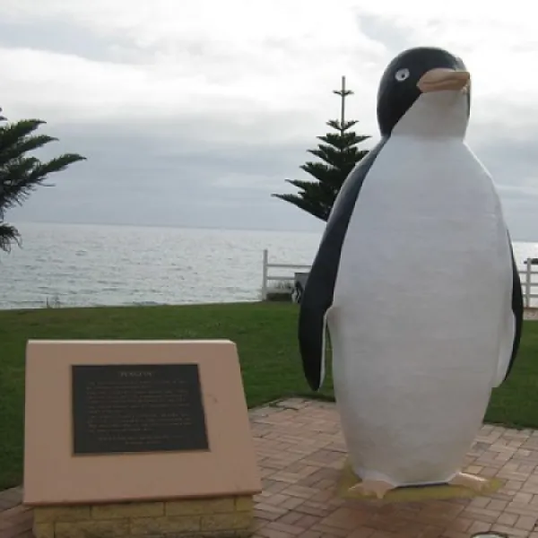 penguin-camp-campground-qp7lx