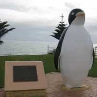 penguin-camp-campground-qp7lx