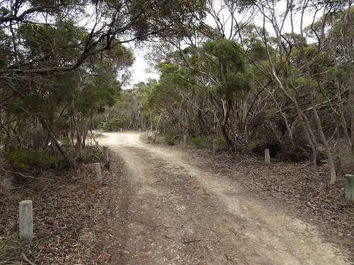 loop-road-campground-qk7ha
