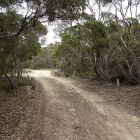 loop-road-campground-qk7ha