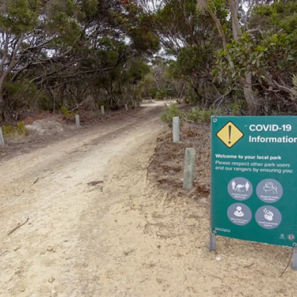 loop-road-campground-wiuyw