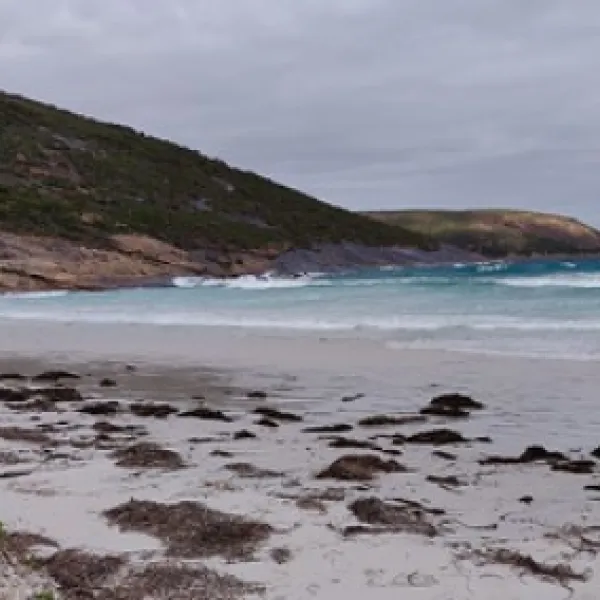 le-grand-beach-cape-le-grand-national-park-campground-cape-le-grand-p7pja
