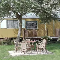 pipowagencamping-het-houten-huis-zaltbommel-z7zdl
