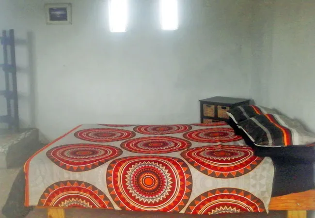 freedom-o-clock-backpackers-mngcibe-lower-lwandile-district-7egla