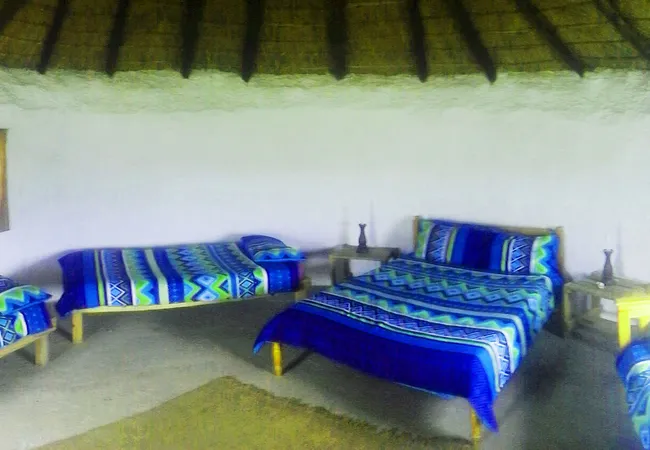 freedom-o-clock-backpackers-mngcibe-lower-lwandile-district-8ckvd