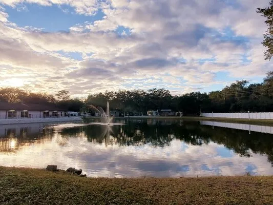 southern-aire-rv-resort-thonotosassa-qgsym