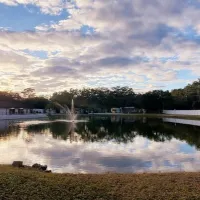 southern-aire-rv-resort-thonotosassa-qgsym
