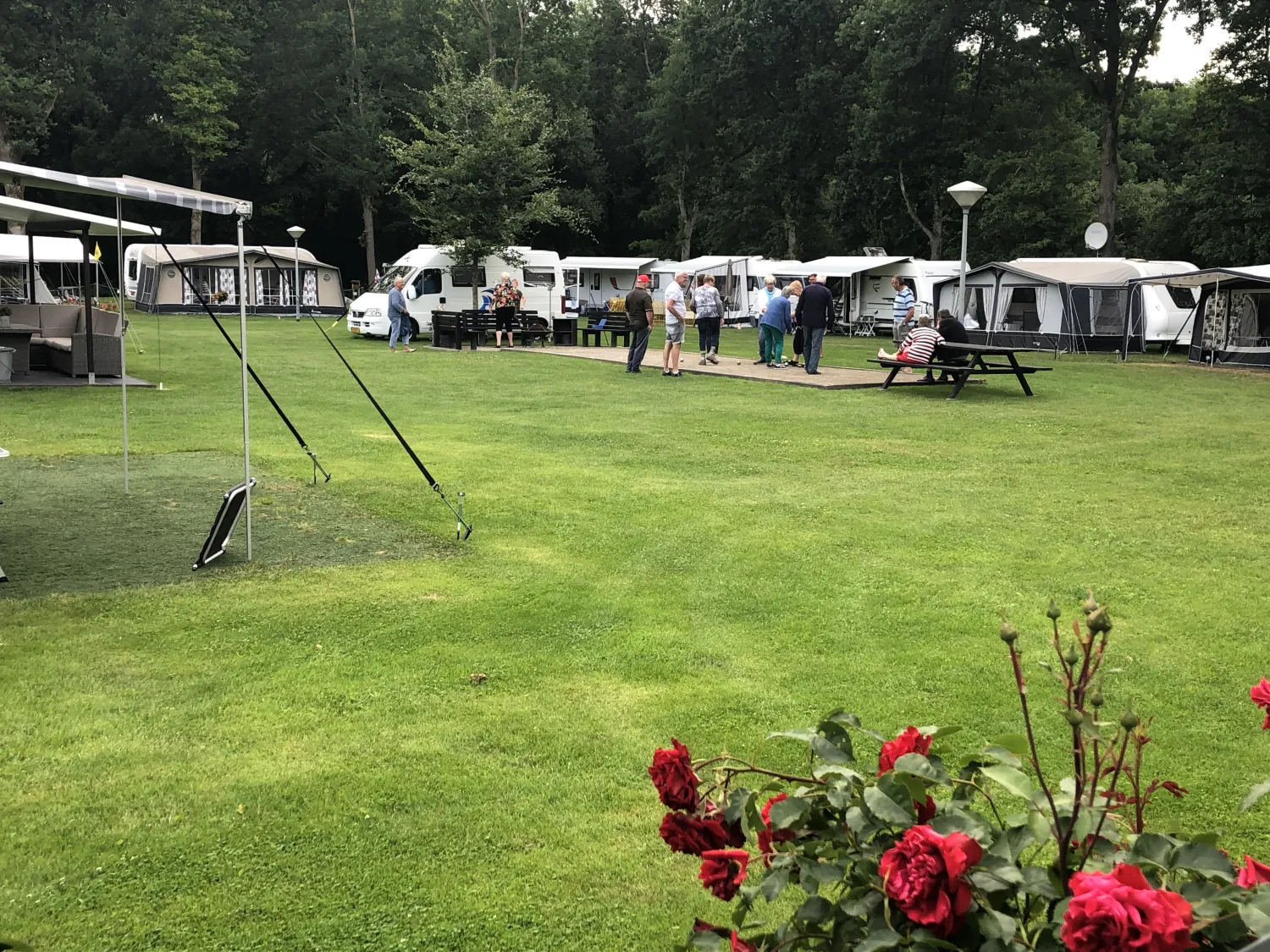 bosveen-klazienaveen-1-dcknf