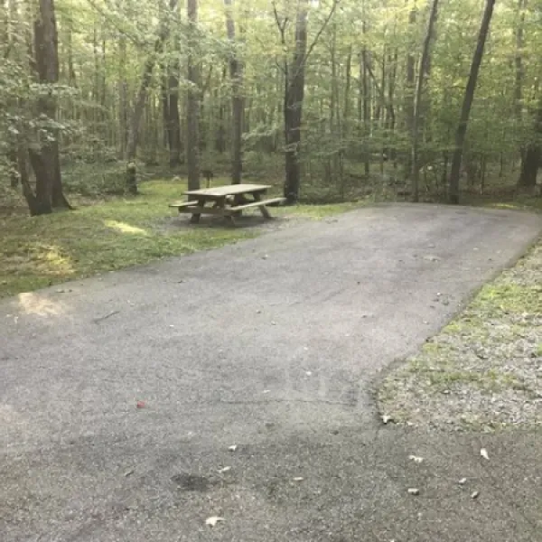 mahlon-dickerson-reservation-lake-hopatcong-2z6dh