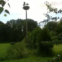 de-rolke-kropswolde-sosya