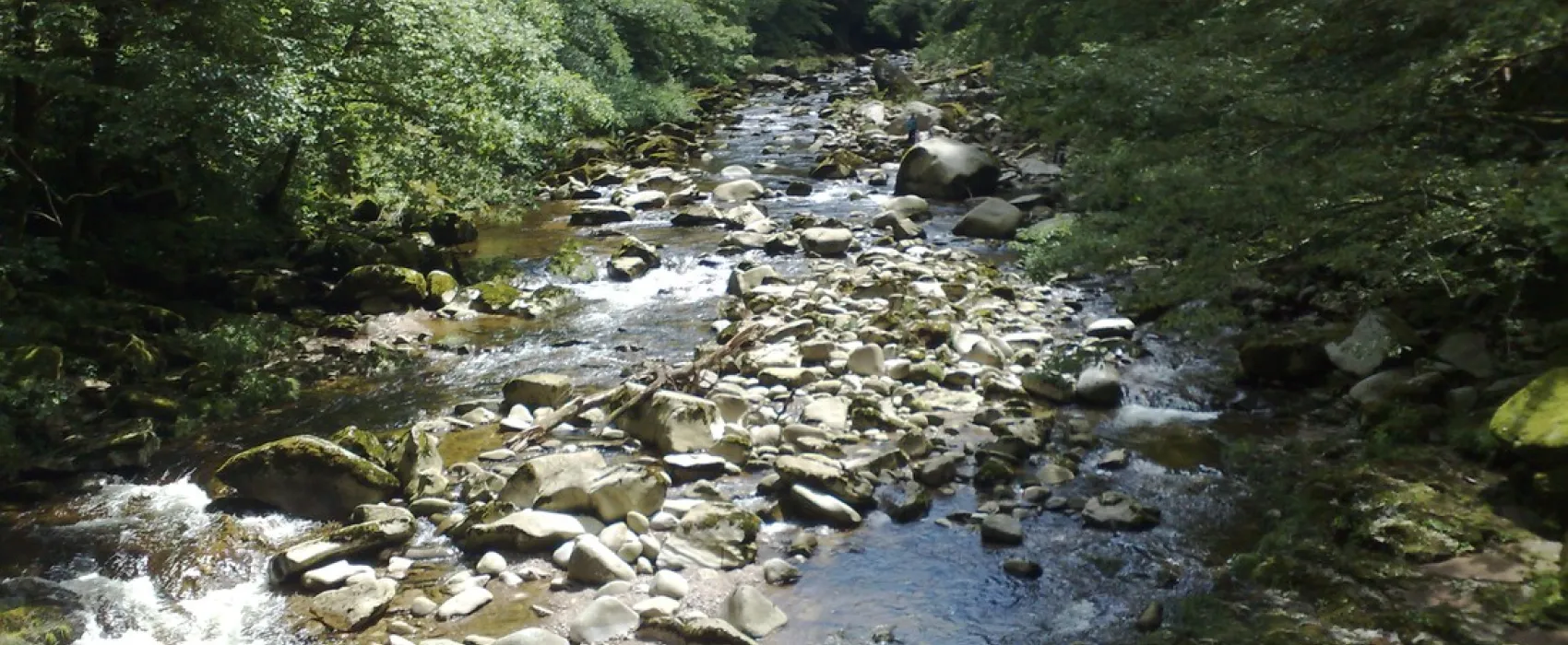 Jungbrunnen