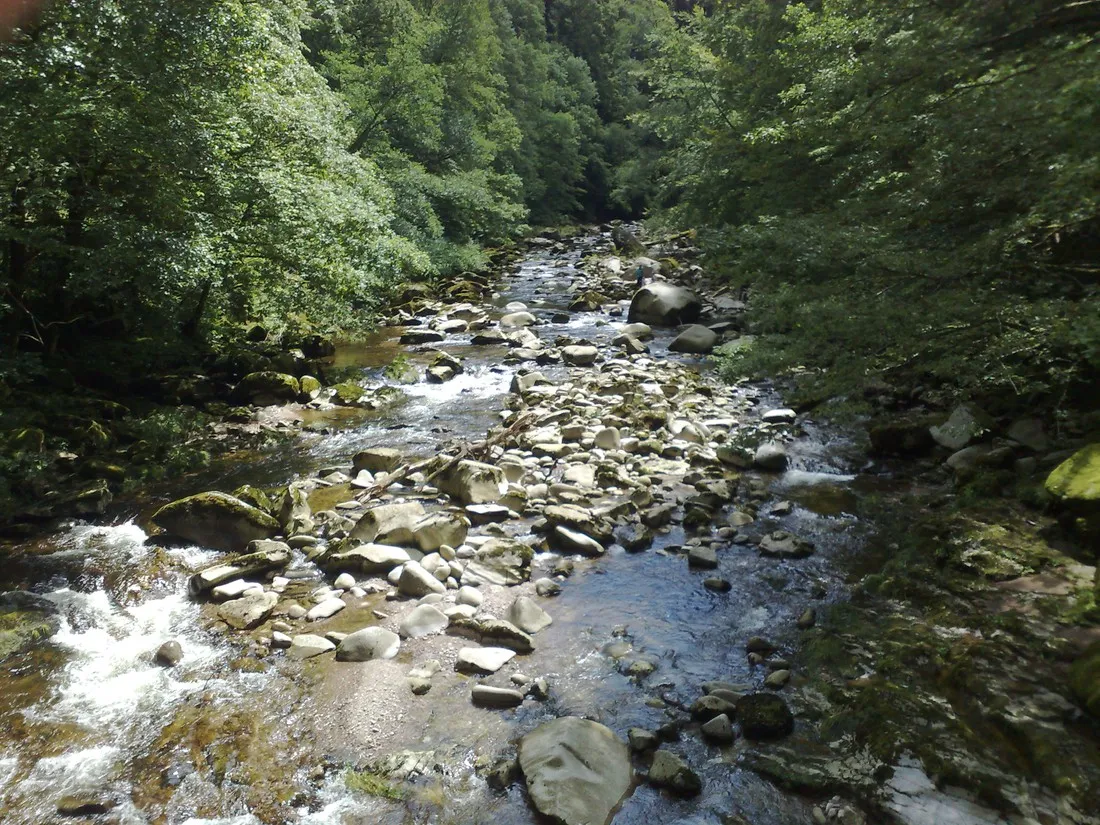 jungbrunnen-bad-herrenalb-zwarte-woud-vuqpj