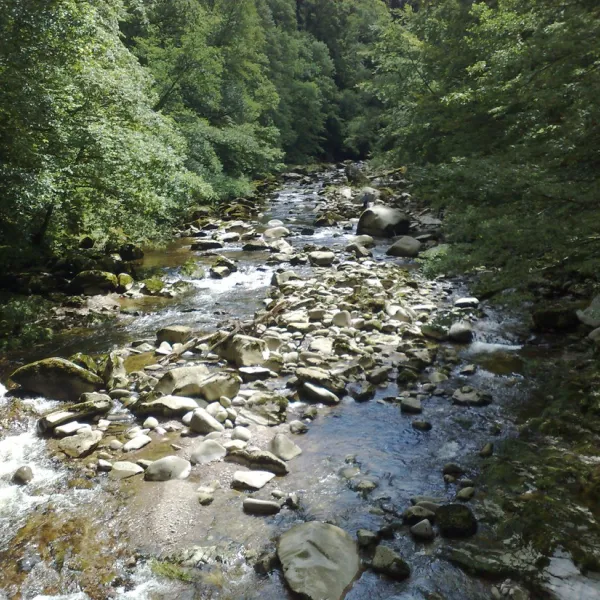 jungbrunnen-bad-herrenalb-zwarte-woud-vuqpj