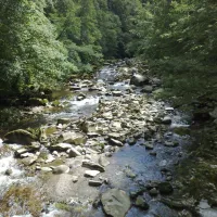 jungbrunnen-bad-herrenalb-zwarte-woud-vuqpj
