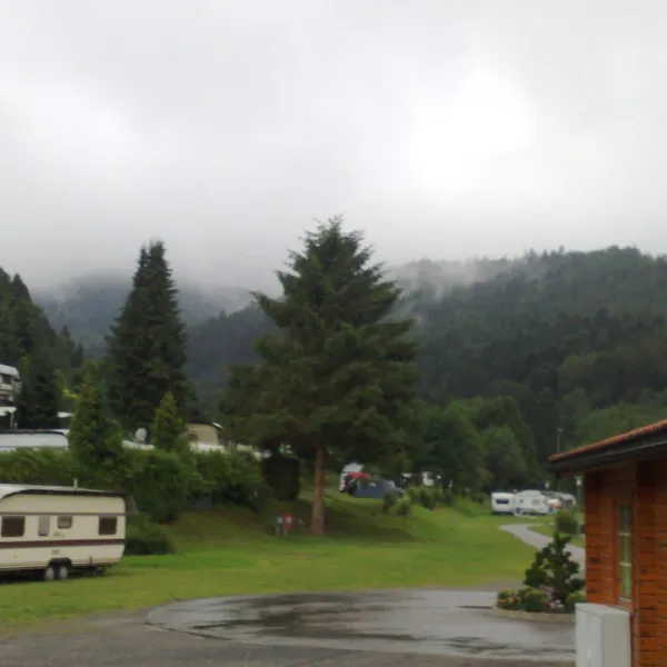jungbrunnen-bad-herrenalb-zwarte-woud-w18li