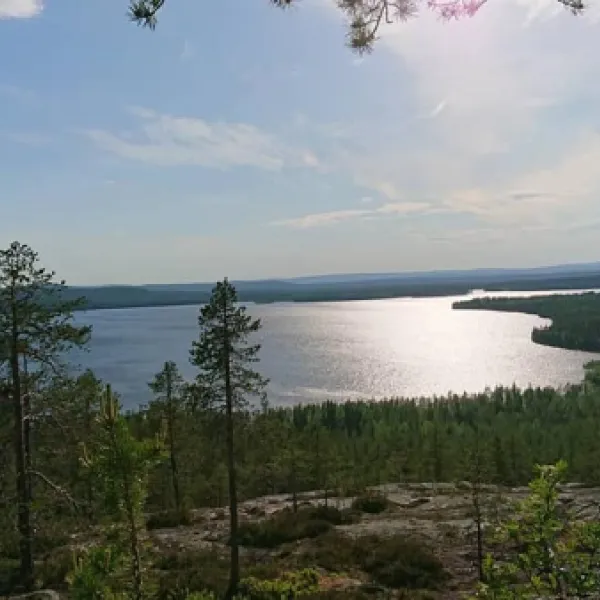 heidin-mummola-turtola-lrnrf
