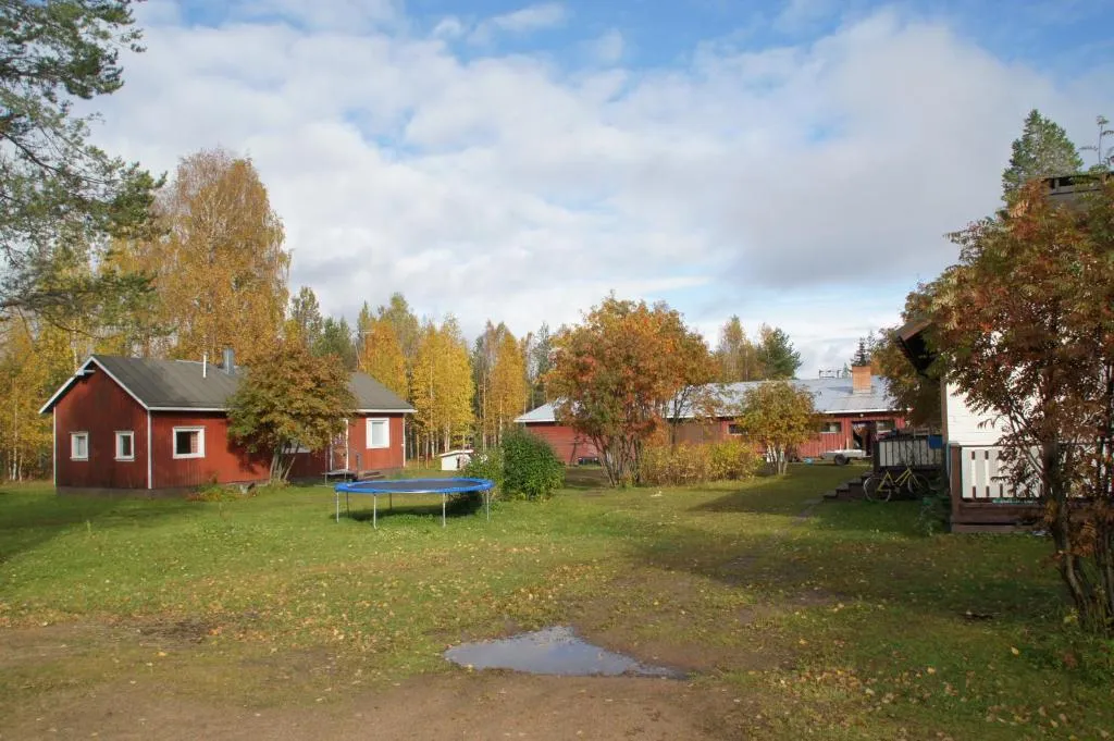 heidin-mummola-turtola-y21bz
