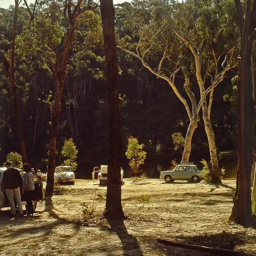 ingar-campground-blue-mountains-national-park-cmwt7