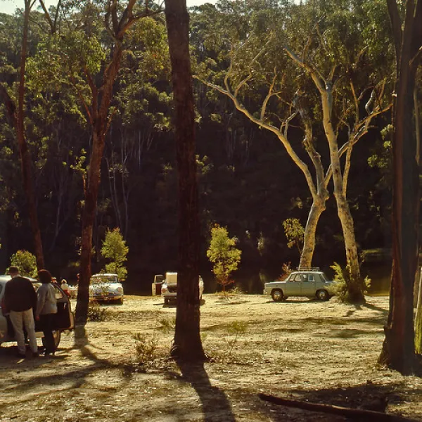 ingar-campground-blue-mountains-national-park-cmwt7