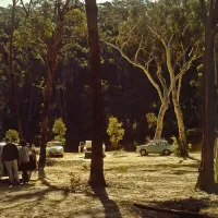 ingar-campground-blue-mountains-national-park-cmwt7