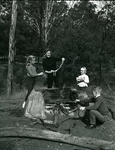 ingar-campground-blue-mountains-national-park-o7cbj