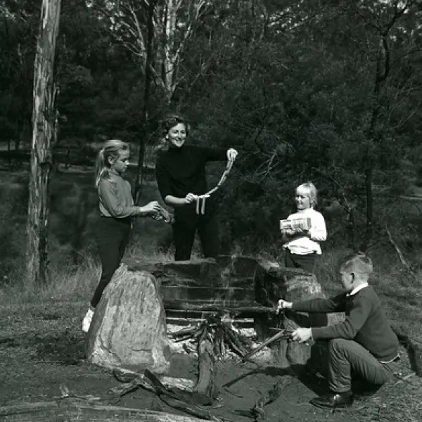 ingar-campground-blue-mountains-national-park-o7cbj