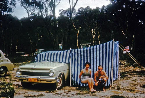 ingar-campground-blue-mountains-national-park-qcs29