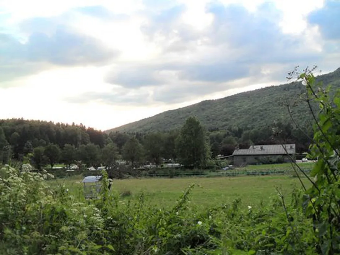 la-bruyere-st-jean-de-couz-cvfsw