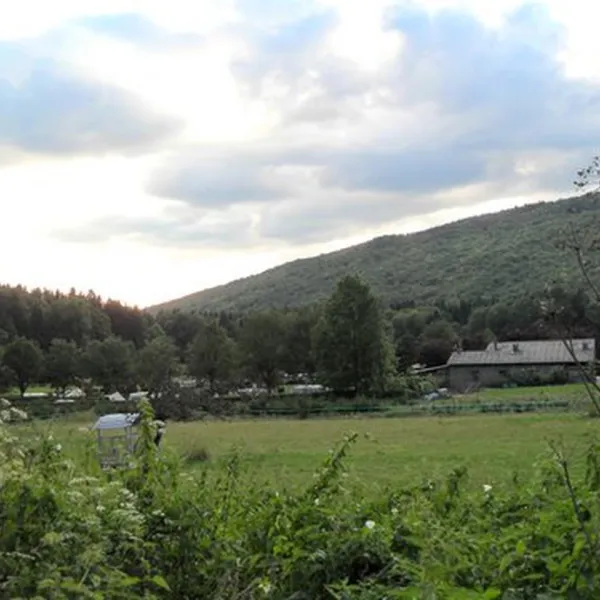 la-bruyere-st-jean-de-couz-cvfsw