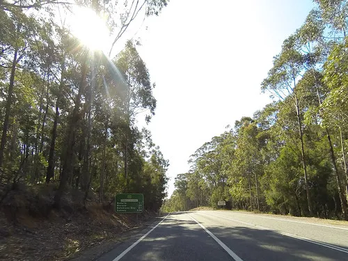 bodalla-forest-park-campground-bodalla-nr03a