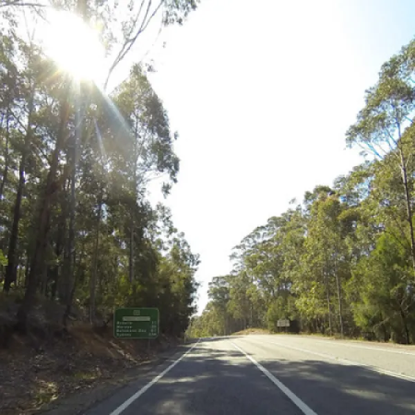bodalla-forest-park-campground-bodalla-nr03a