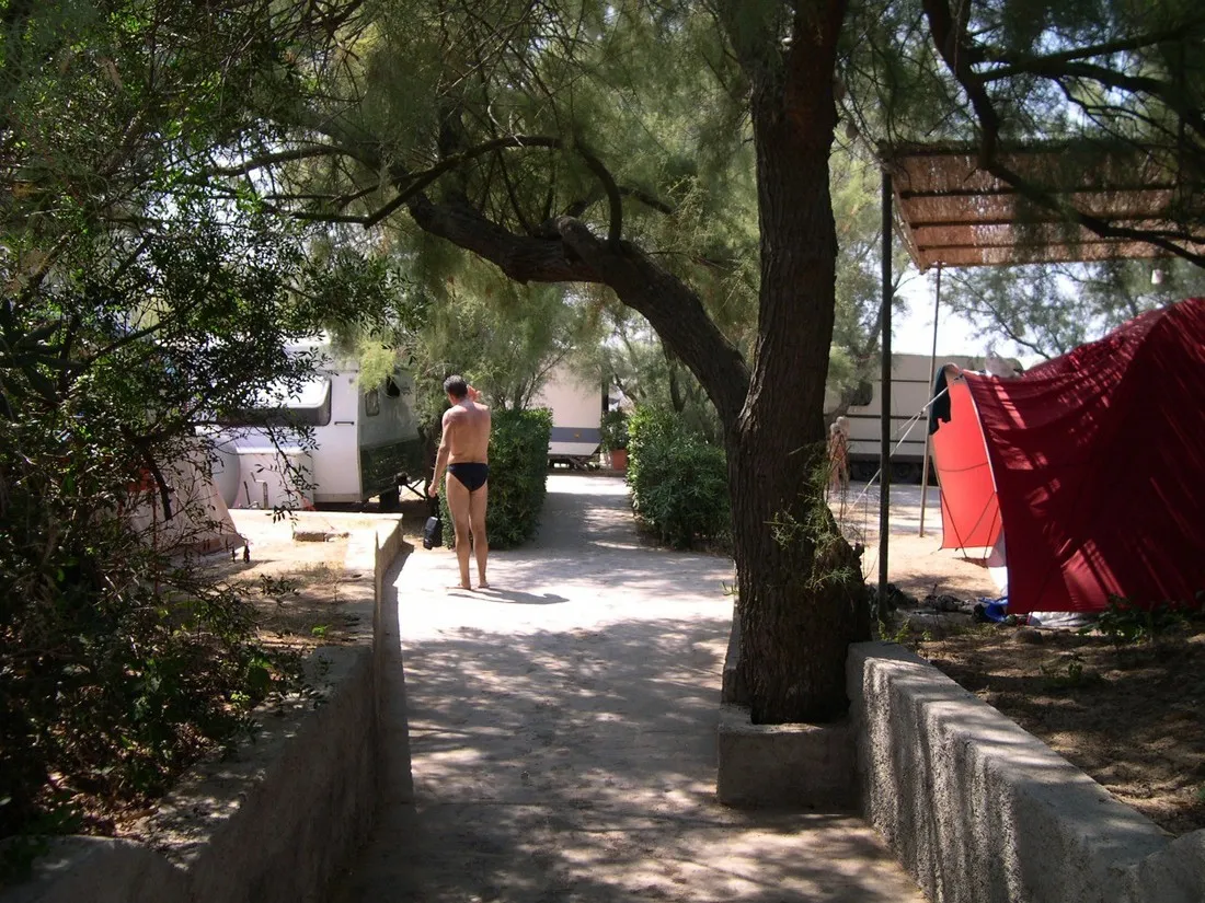 valle-santa-maria-capoliveri-op-elba-pp50l