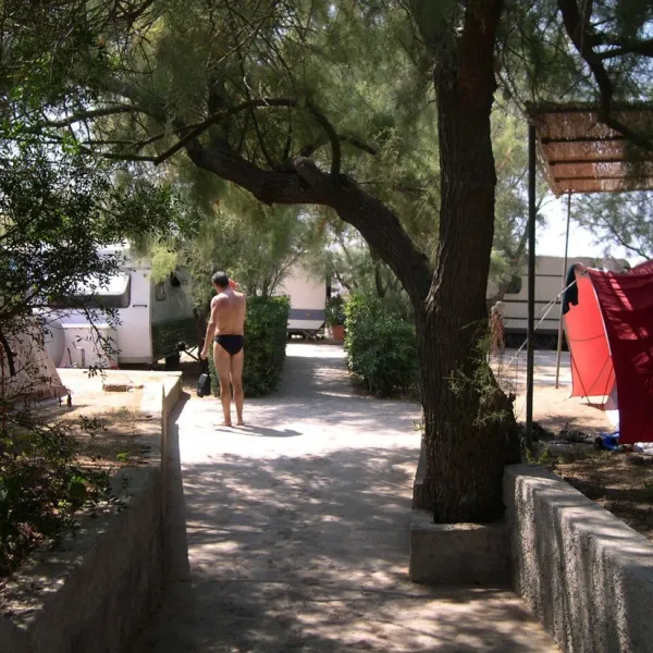 valle-santa-maria-capoliveri-op-elba-pp50l