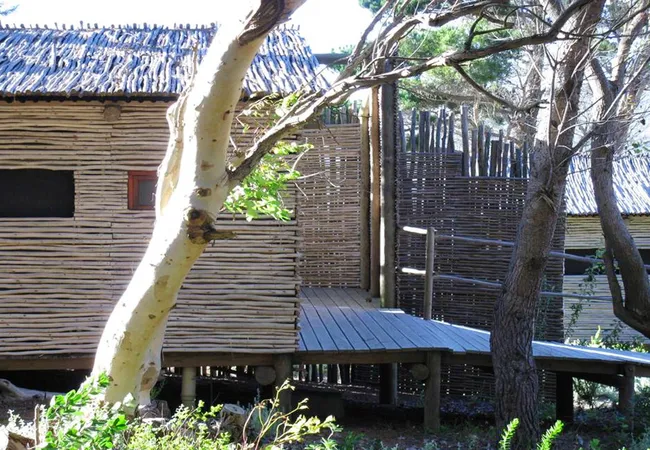 smitswinkel-tented-camp-atlantic-seaboard-cape-town-7lop9