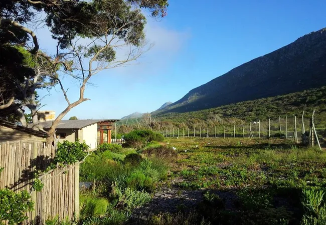 smitswinkel-tented-camp-atlantic-seaboard-cape-town-kpjax