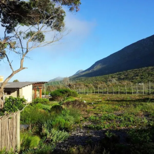 smitswinkel-tented-camp-atlantic-seaboard-cape-town-kpjax