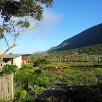 smitswinkel-tented-camp-atlantic-seaboard-cape-town-kpjax