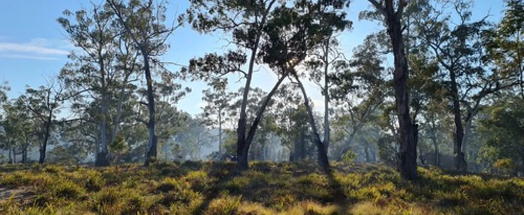 Oallen Campground