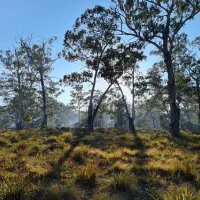 oallen-campground-oallen-a3d8b