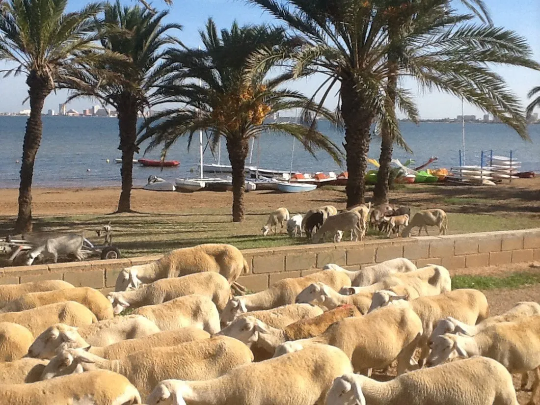 capfun-la-manga-la-manga-del-mar-menor-egwu8