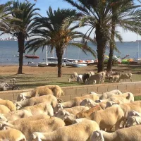 capfun-la-manga-la-manga-del-mar-menor-egwu8