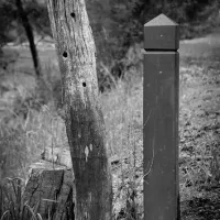 doctors-creek-reserve-campground-jamieson-advla