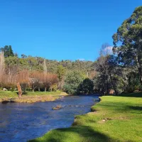 Doctors Creek Reserve Campground