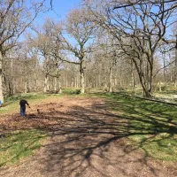 ekenas-camping-ronneby-swdtd