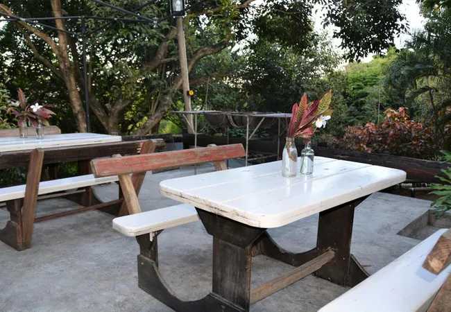 hazyview-adventure-backpackers-numbi-park-hazyview-iqe5s
